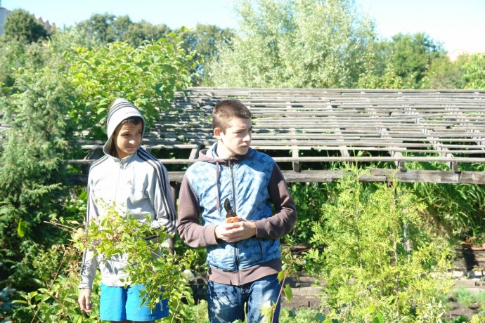 СОВМЕСТНОЕ ОБРАЩЕНИЕ о временном трудоустройстве несовершеннолетних в возрасте от 14 до 18 лет СОВМЕСТНОЕ ОБРАЩЕНИЕ о временном трудоустройстве несовершеннолетних в возрасте от 14 до 18 лет