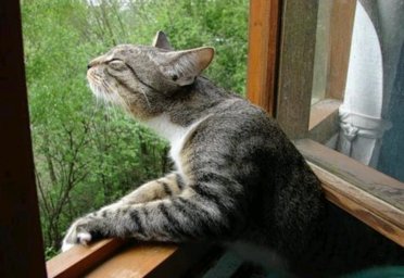 На два дня наступит лето