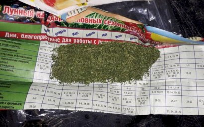 У жителя станицы Баракаевской сотрудники уголовного розыска изъяли более 60 грамм марихуаны