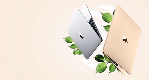 Компьютеры и ноутбуки