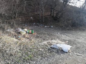 Берега Малой Лабы утопают в мусоре