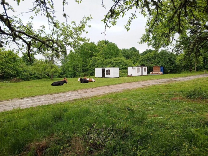 Хамкетинская будет цвести! Хамкетинская будет цвести!